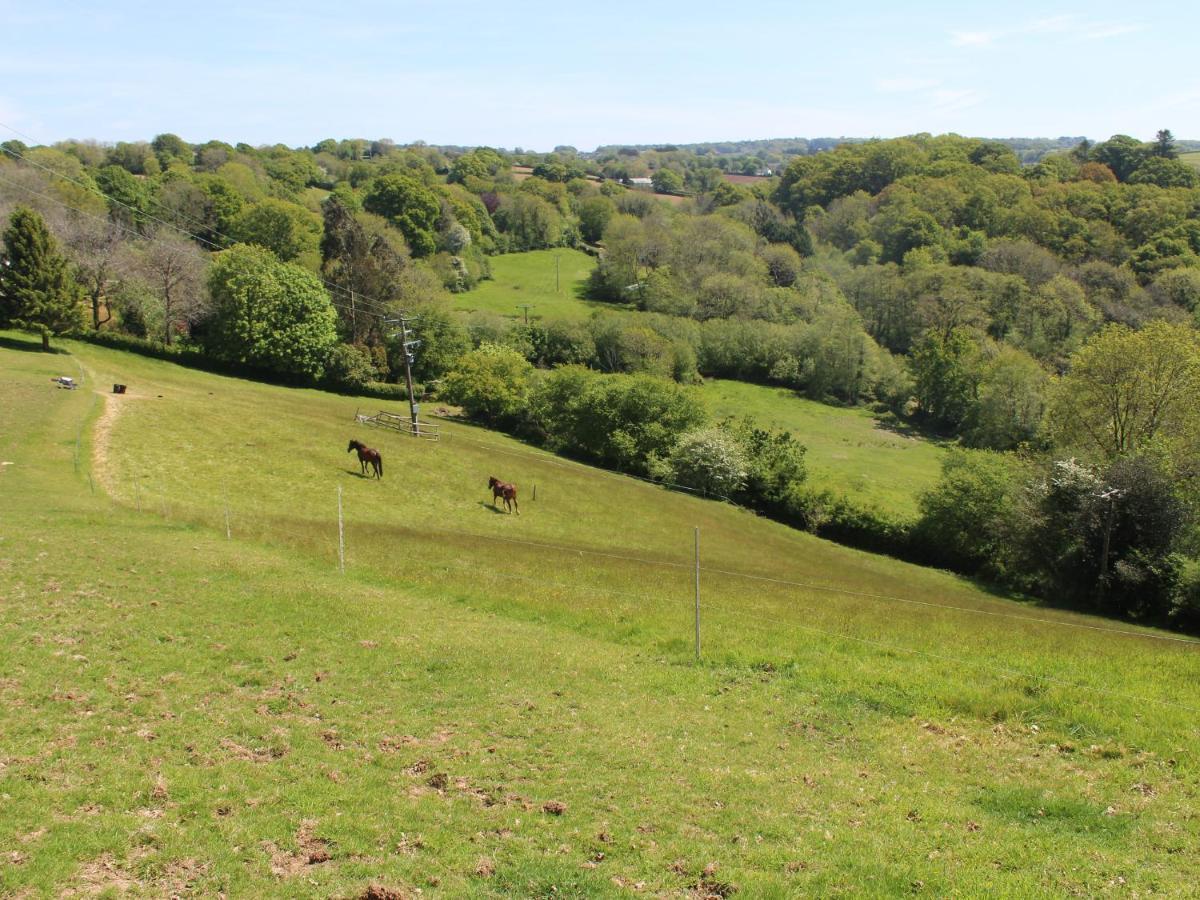 Hilly Field Barn Βίλα Yelverton Εξωτερικό φωτογραφία